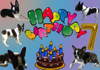 7. Geburtstag B-Wurf