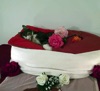 Abschied von unserem geliebten Kater Felix