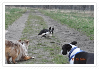 Tenya, Anni und Elvis