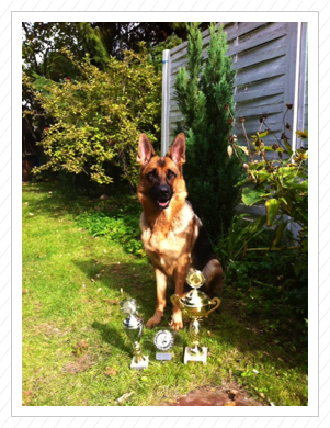 Cleo im August 2013 - Beste in der Landesgruppe Berlin / BB Cleo im August 2013 - Beste in der Landesgruppe Berlin / BB
