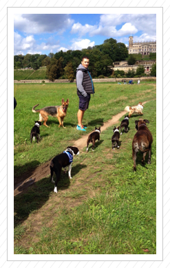 05./06.09.2015 - Dresden - Gassi 05./06.09.2015 - Dresden - Gassi