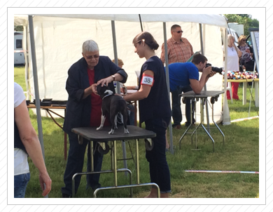 Zschepkau - 29.05.2016 - Lotte Richtertisch Zschepkau - 29.05.2016 - Lotte Richtertisch