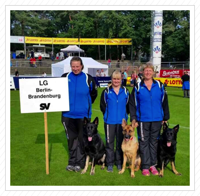 Das Agility-Team bei der Bundessiegerprüfung des Vereins f. Deutsche Schäferhunde 28.-30.8.2015 in Meppen