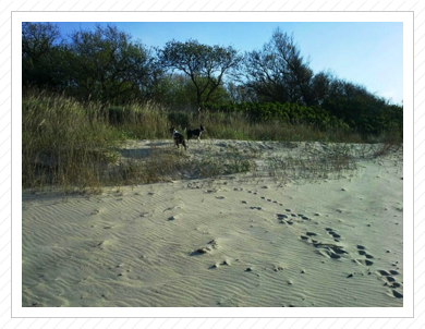 Kröpelin am 04.05.2014 - Ausflug am Strand