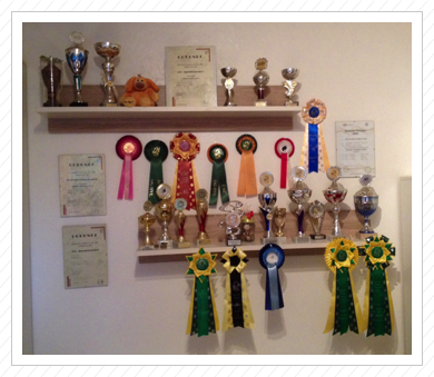 Unsere Ausstellungswand im Dezember 2014 Unsere Ausstellungswand im Dezember 2014
