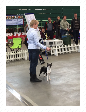 Töchterchen Dani mit unserer Annabell von St. Aaken - Paaren 20.11.2016
