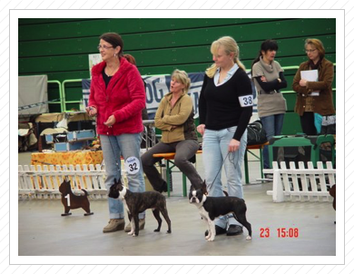 Paaren / Glien am 24.11.2013 -
Socke mit Frauchen Linda und Anni mit unserer Tochter Dani Paaren / Glien am 24.11.2013 -
Socke mit Frauchen Linda und Anni mit unserer Tochter Dani