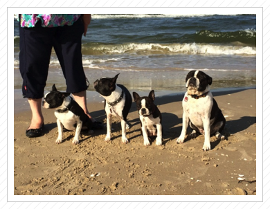 Anni, Käthchen, Lotte & Elvis