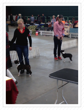 Die beiden Schwestern Betty und Lotte Die beiden Schwestern Betty und Lotte