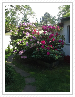 Unser Garten Unser Garten