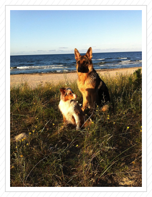 Tenya und Cleo am Strand