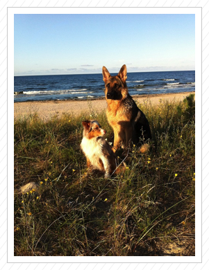 Tenya und Cleo am Strand Tenya und Cleo am Strand