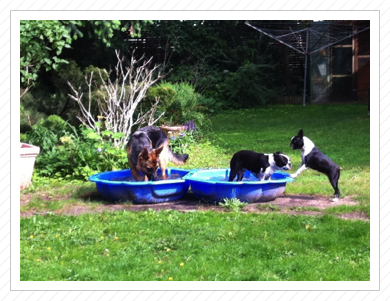 planschen im Garten