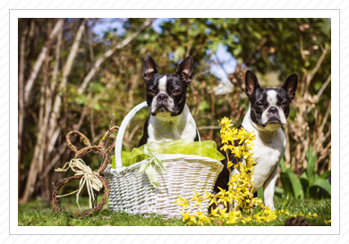 Ostershooting 2015 - Anni und Käthchen