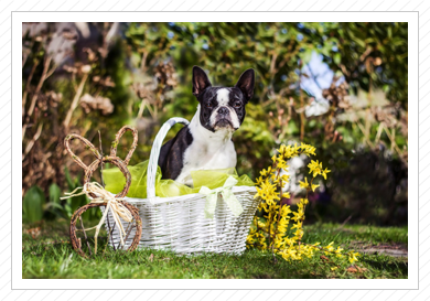 Ostershooting 2015 - Annabell Ostershooting 2015 - Annabell