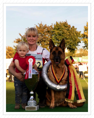 Cleo als Vize Bundessieger Agility 2019 in Halle/ Saale am 22.September 2019