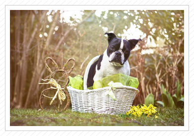 Ostershooting 2015 - Elvis Ostershooting 2015 - Elvis