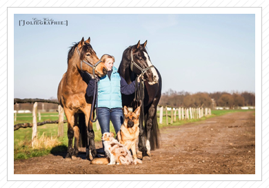 Januar 2014 Januar 2014