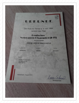 ...8-jährige Hündin ...8-jährige Hündin