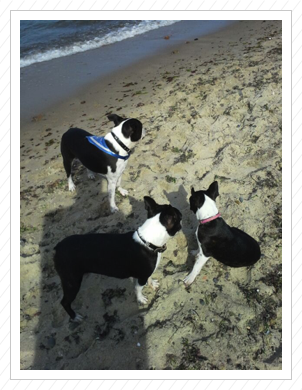 Unsere drei Racker am Strand Unsere drei Racker am Strand