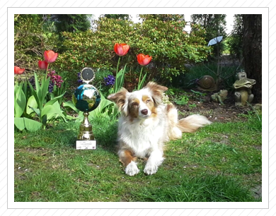 Tenya - Siegerin Hunderennen und Schönheitswettbewerb - Heimtierevent A 10 Center - 17.-19.04.2015