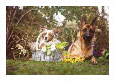 Ostershooting 2015 - Tenya und Cleo