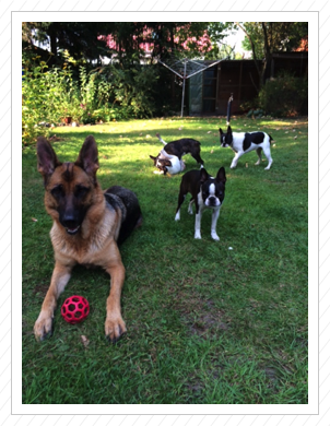 06.09.2014 - Cleo und die Rasselbande 06.09.2014 - Cleo und die Rasselbande
