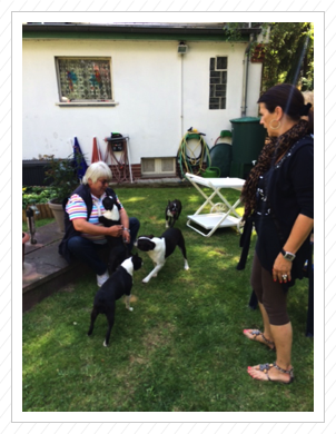 12.07.2014 - Bea‘s Frauchen mit dem Rest der Rasselbande 12.07.2014 - Bea‘s Frauchen mit dem Rest der Rasselbande