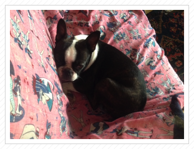 Alice beim Relaxen - 05.03.2016 Alice beim Relaxen - 05.03.2016