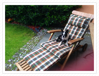 Typische Bosti-Position :) - Juni 2013 Typische Bosti-Position :) - Juni 2013