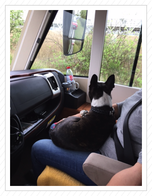 Socke auf Reise nach Zingst - Juni 2017 Socke auf Reise nach Zingst - Juni 2017