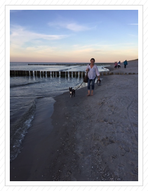 Zingst Zingst