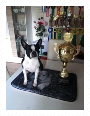 Deutscher Champion Annabell von St. Aaken Deutscher Champion Annabell von St. Aaken