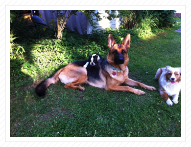 Alice erkundet Cleo Alice erkundet Cleo
