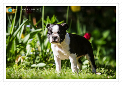 Fotoshooting - 15.05.2014