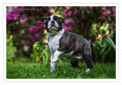 Fotoshooting - 15.05.2014