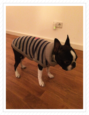 Langsam wird es kalt - der erste Pulli im Oktober 2014 Langsam wird es kalt - der erste Pulli im Oktober 2014
