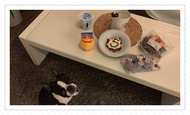 Lottes 5. Geburtstag - 15.03.2019 Lottes 5. Geburtstag - 15.03.2019