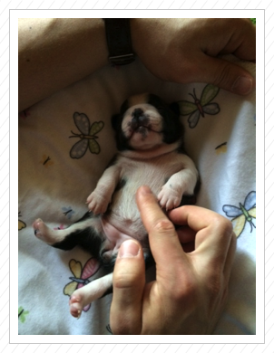 Kleines Baby Kleines Baby