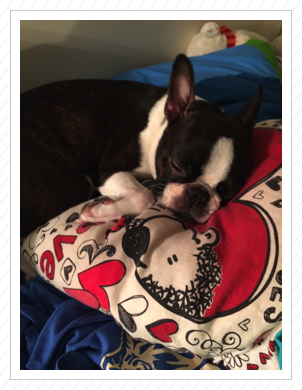 Platz im Bett blockiert Platz im Bett blockiert