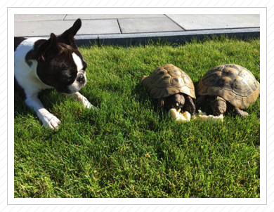 Lotti mit gepanzerten Freunden Anna und Erwin - September 2017