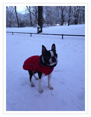 Das erste Mal Schnee - 29.12.2014 Das erste Mal Schnee - 29.12.2014