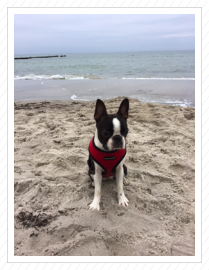 Das zweite Mal Ostsee - September 2014 Das zweite Mal Ostsee - September 2014