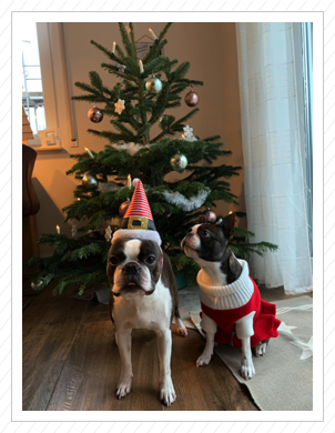 Lotte und Toni feiern zusammen Weihnachten 2018 Lotte und Toni feiern zusammen Weihnachten 2018