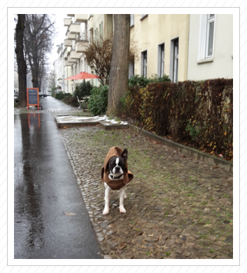 Ekliges Regenwetter Ekliges Regenwetter