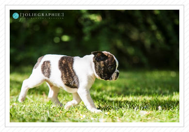 Fotoshooting - 15.05.2014