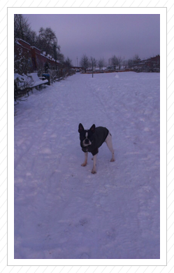 das erste Mal Schnee - Dezember 2014 das erste Mal Schnee - Dezember 2014