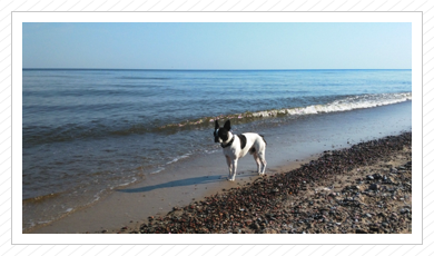 Ausflug ans Meer - Herbst 2015 Ausflug ans Meer - Herbst 2015