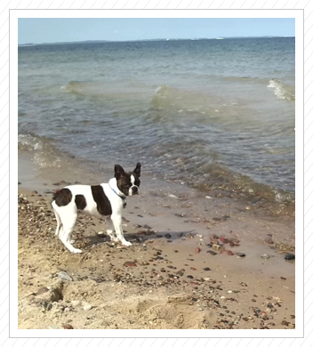 Juli 2014 - Pepe erkundet die Ostsee