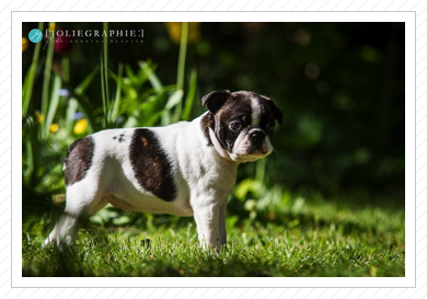 Fotoshooting - 15.05.2014